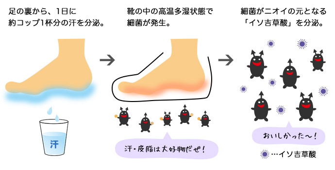 foot_nioi_image