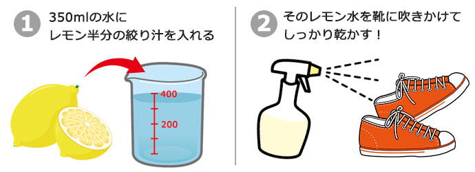 lemon_howto