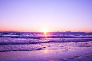 color_purple_effect2-3