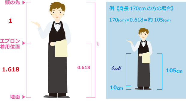 ソムリエエプロン黄金比の図解と例