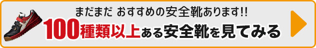 100種類以上の安全靴を見てみる